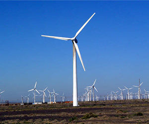 1449450316576582.jpg 11.jpg