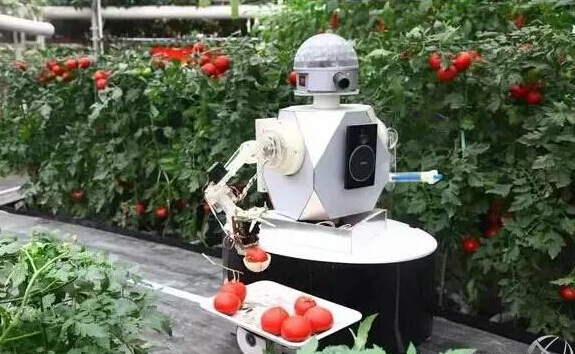 1449452857916706.jpg 20151206093354_58446.jpg