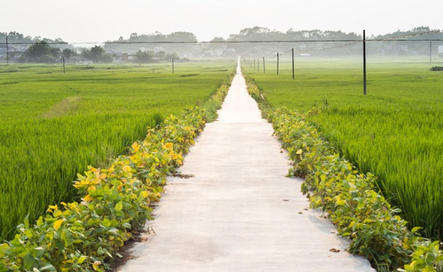 1451354423255866.png 3.png