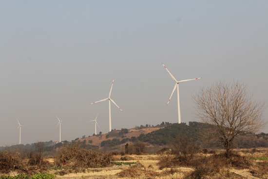 1452134273114572.jpg 4259819_003309.jpg