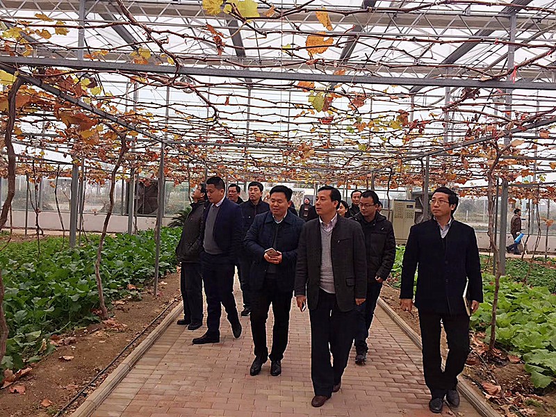 1513561106393980.jpg 1513561106393980.jpg