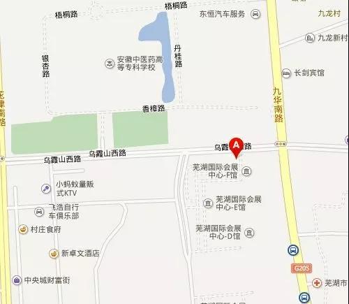 蕪湖國際會展中心(九華南路) 蕪湖國際會展中心(九華南路)